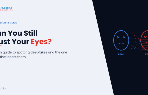 Can You Still Trust Your Own Eyes? A Plain Guide to Deepfakes 